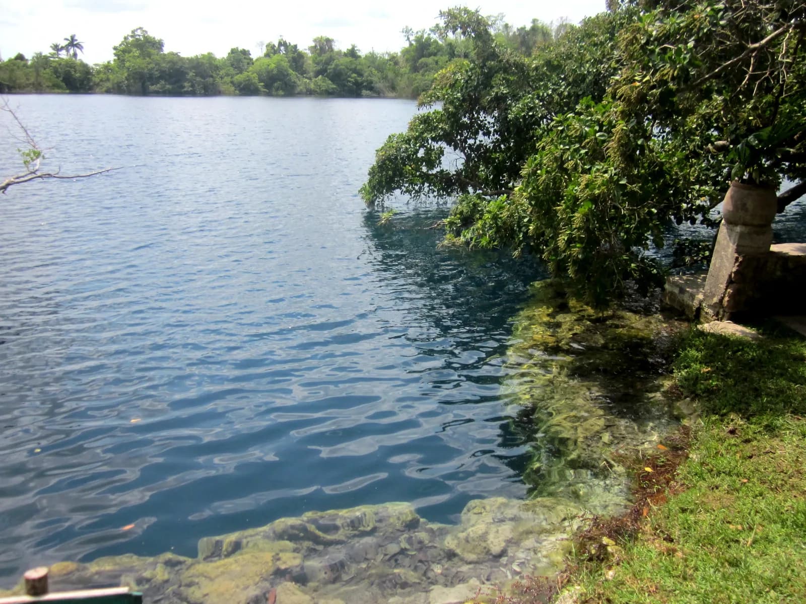Dark blue water and the rocky, tree-lined edge of Cenote Azul near Bacalar, Quintana Roo