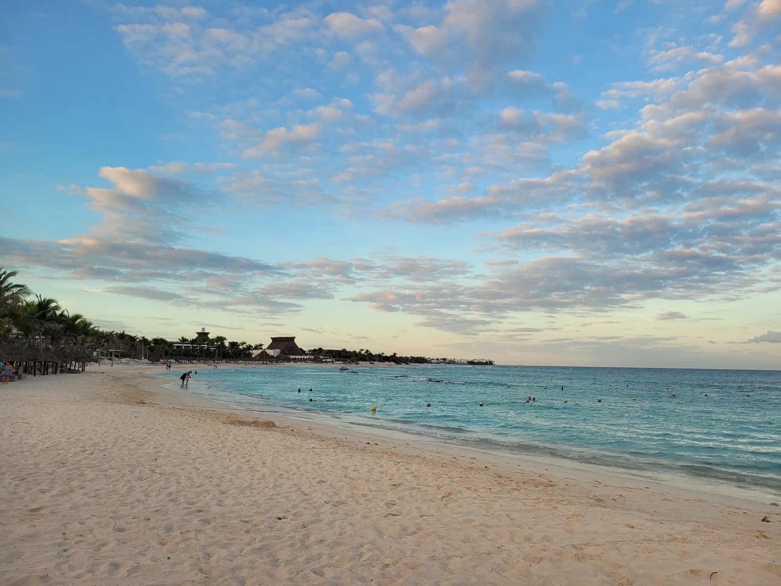 White sand, palm trees and turquoise Caribbean water at Playa Paraíso beach in Tulum, Mexico