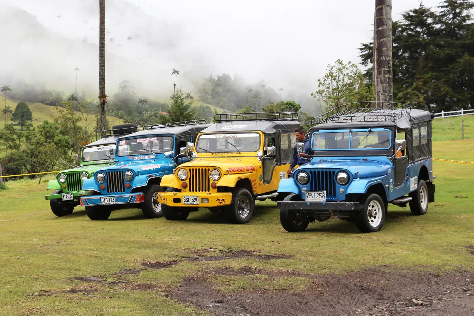 Willys jeeps parked at the Cocora Valley trailhead car park near Salento, Colombia