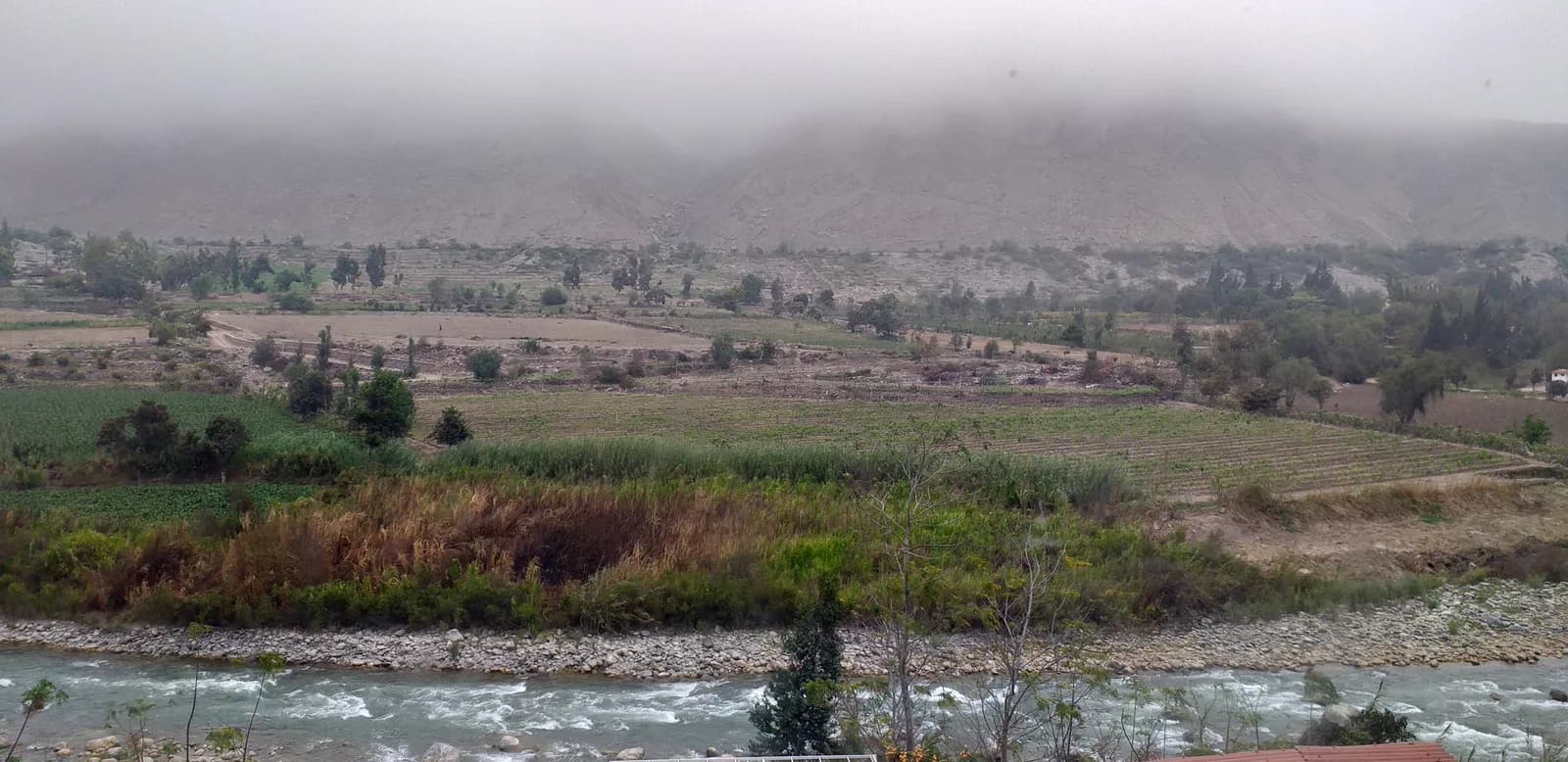 The Río Cañete flowing past fields in the Lunahuaná valley with the hills hidden under morning mist