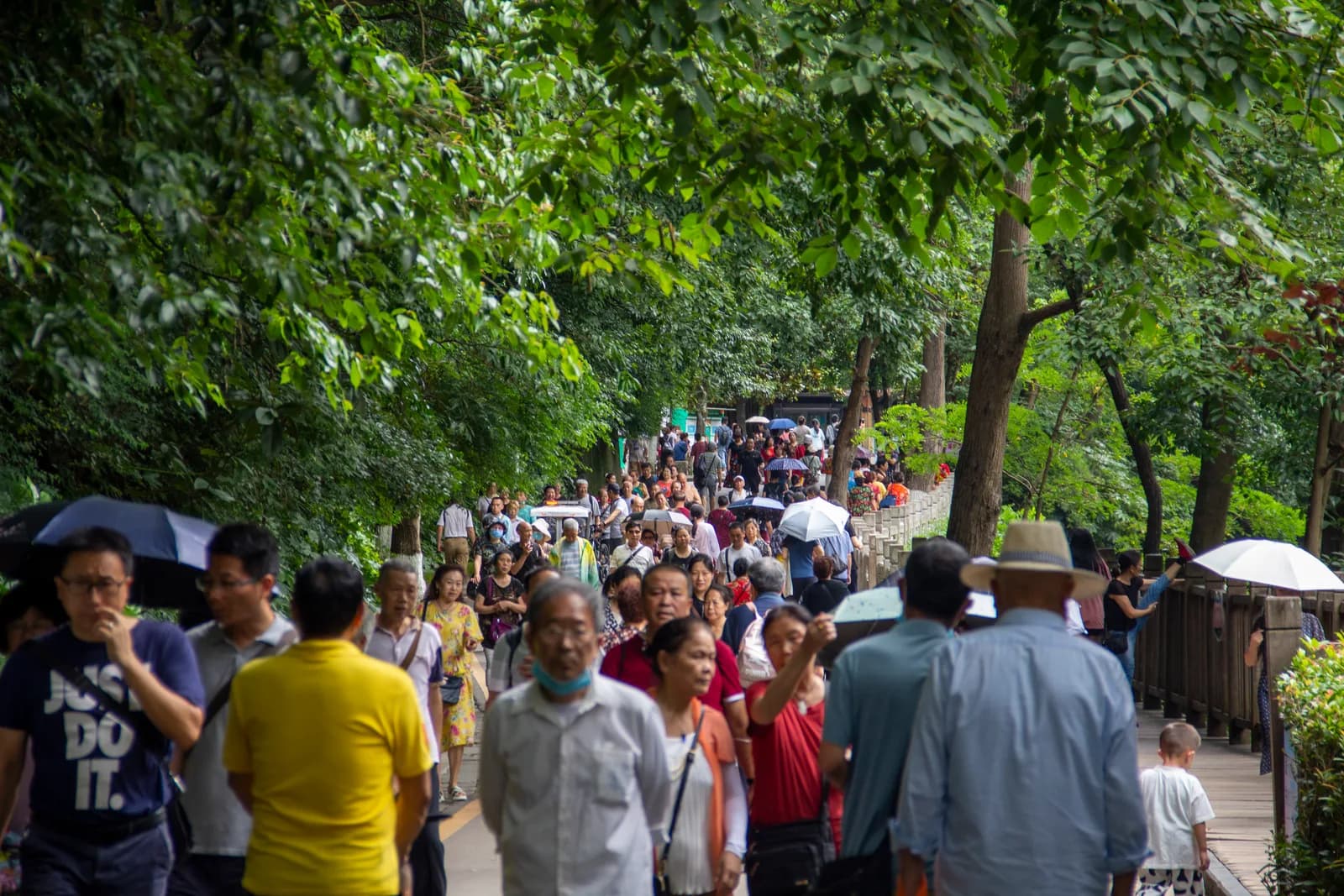 Crowds of visitors walking under the trees on the main path of Qianling Park in Guiyang on a summer weekend